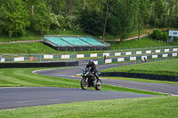 Evening Low_Mid Group Black Bikes